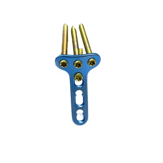 Small Positive T-shaped Locking Plate