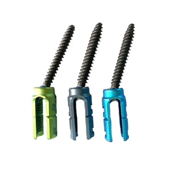 Spinal Pedicle Screw