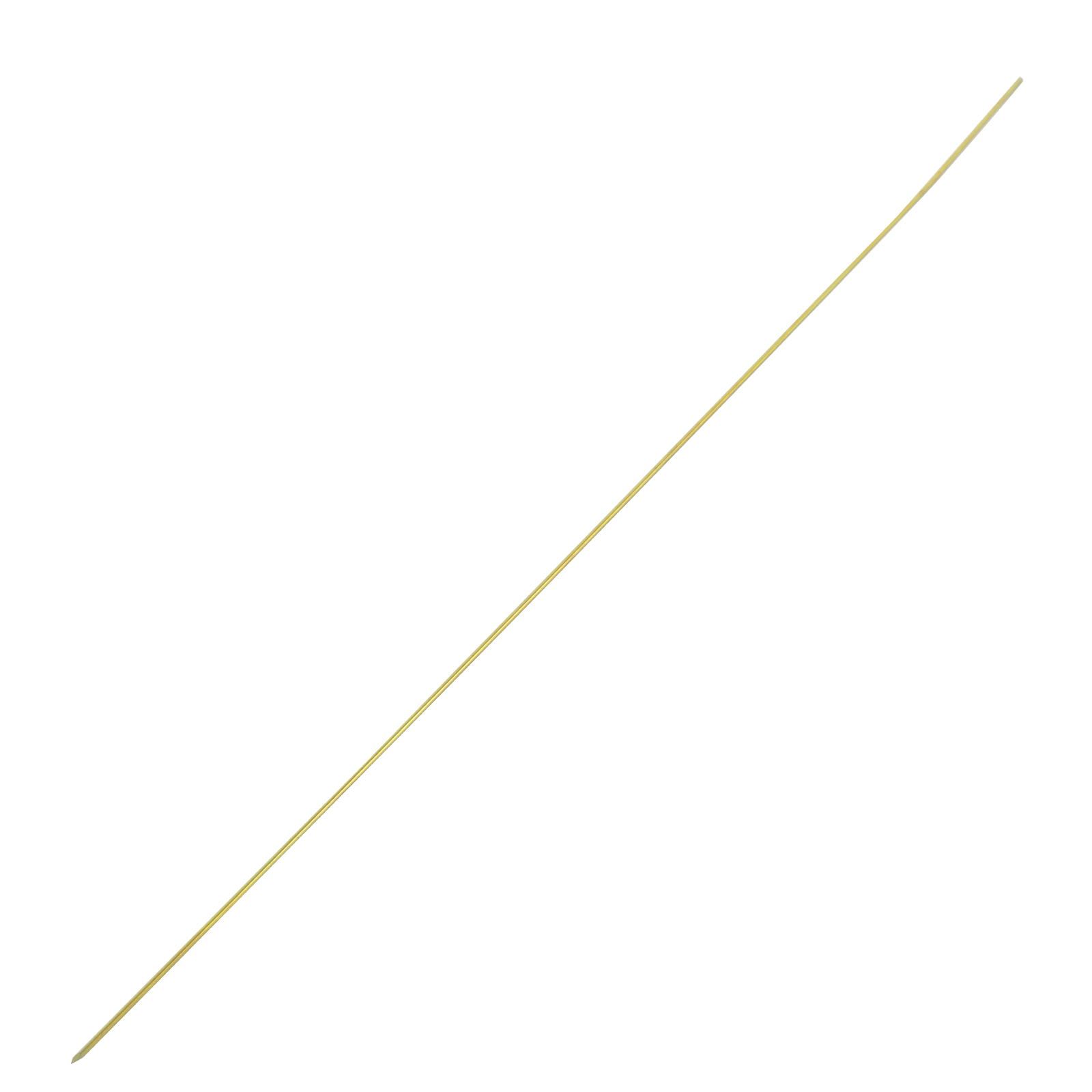 Ulna Intramedullary Nail