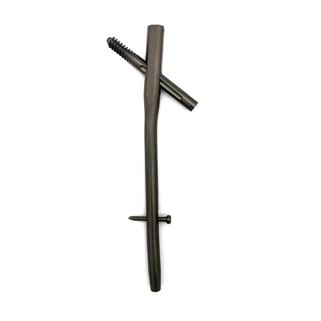 Femoral Reconstruction Nail